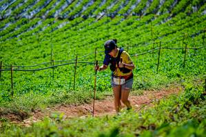 BIB: 2290
                            <button type="button" onclick="openModal(19164364)" class="btn btn-primary btn-sm float-right btn-popup" data-toggle="modal" data-target=".modal-high-quality">
                        <i class="fas fa-shopping-cart"></i> Add to Cart
                    </button>
                                            <button type="button" onclick="isThisMe(19164364, true)" class="btn btn-success btn-sm float-right btn-popup btn-isme hidden" data-toggle="tooltip" data-placement="bottom" title="นี่คือรูปของคุณใช่ไหม คลิกที่นี่เพื่อเอาเข้าอัลบั้ม">
                        <i class="fas fa-plus"></i> Add to album
                    </button>
                    <button type="button" onclick="isThisMe(19164364, false)" class="btn btn-warning btn-sm float-right btn-popup btn-isnotme hidden">
                        <i class="fas fa-ban"></i> Remove from album
                    </button>